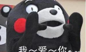 中国の告白の日:520~