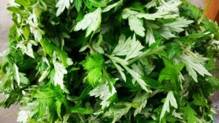 クローバーは食用!?春が旬の謎の野菜グルメ6選